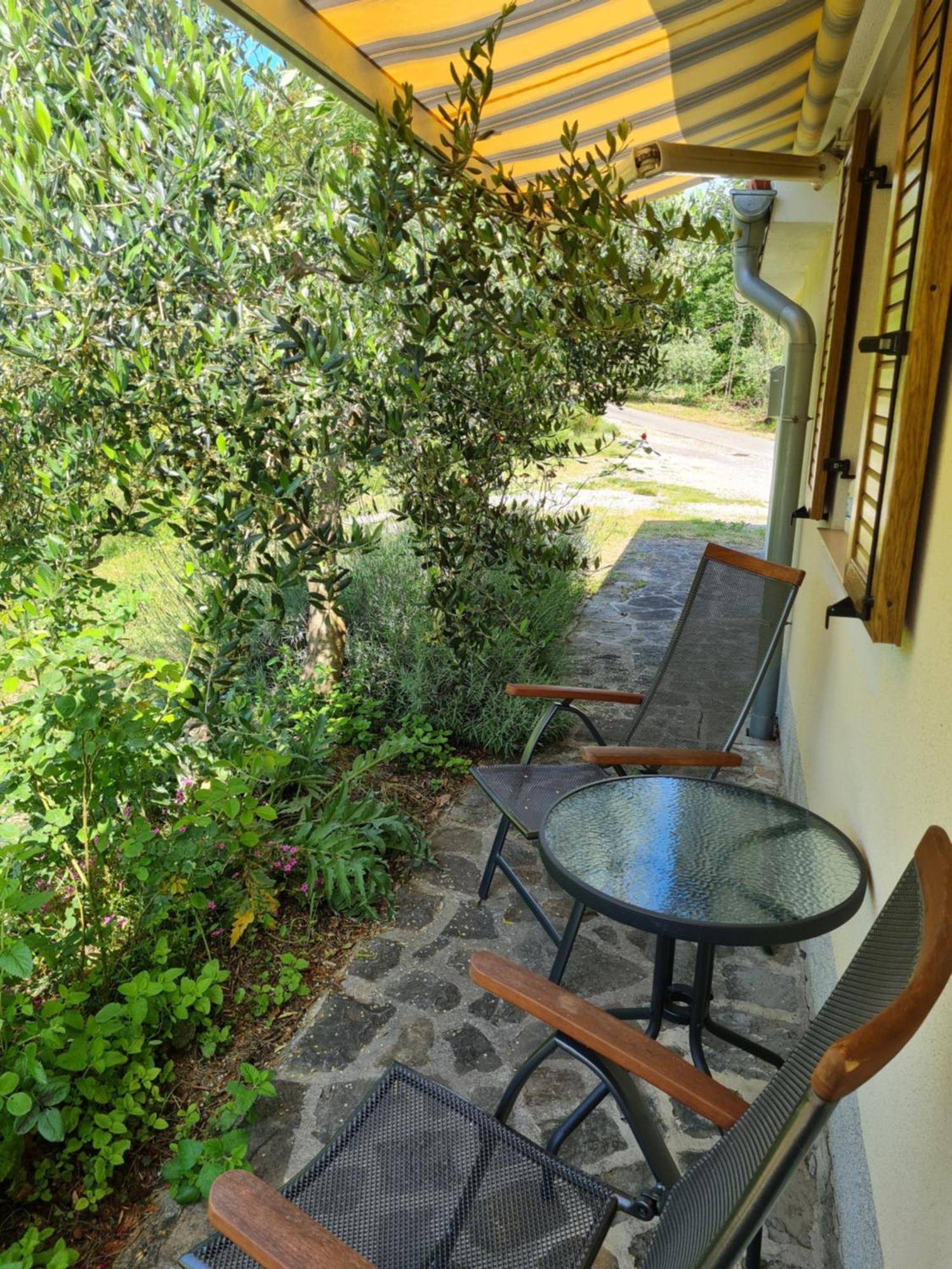 Apartma Istra Zora Secovlje Exterior photo